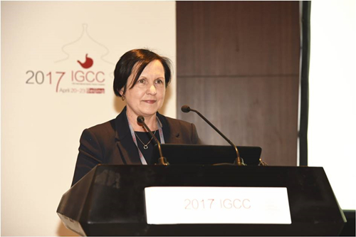 2017IGCC-2.jpg