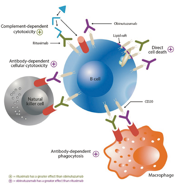 aaIPI ≥ 1 分宜移植的 DLBCL Obinutuzumab 初治不优于利妥昔单抗