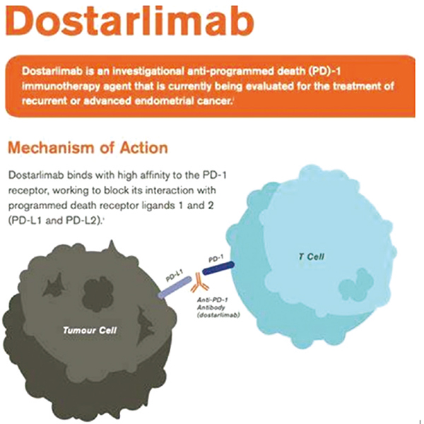 Dostarlimab治疗dMMR实体瘤患者ORR达38.7%