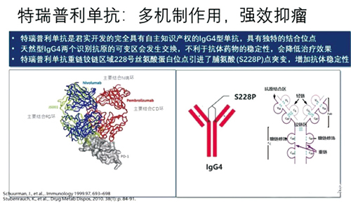 278-279期《全球肿瘤快讯》-97.jpg