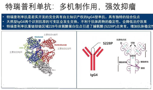 293-294期《全球肿瘤快讯》-112.jpg