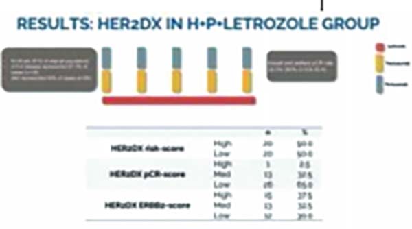  HER2阳性乳腺癌 HER2DX评分或可预测pCR和生存结局
