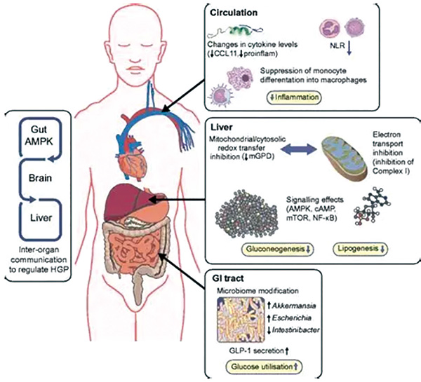 381-382期(完成)(1)-25.jpg 381-382期(完成)(1)-25.jpg