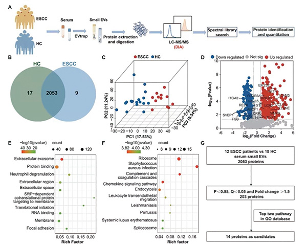 381-382期(完成)(1)-27.jpg 381-382期(完成)(1)-27.jpg
