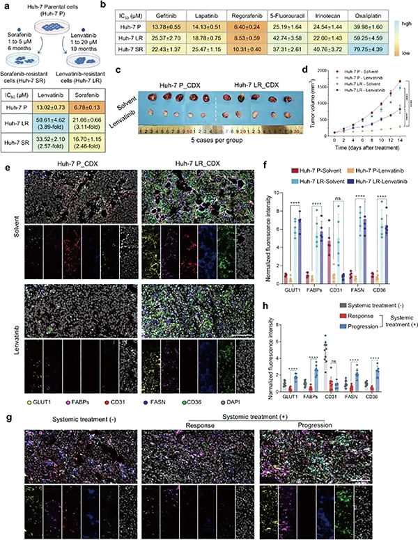 381-382期(完成)(1)-30.jpg 381-382期(完成)(1)-30.jpg
