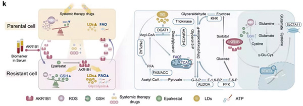 381-382期(完成)(1)-29.jpg 381-382期(完成)(1)-29.jpg