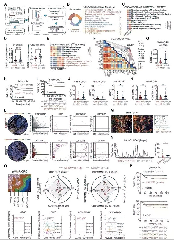 381-382期(完成)(1)-31.jpg 381-382期(完成)(1)-31.jpg
