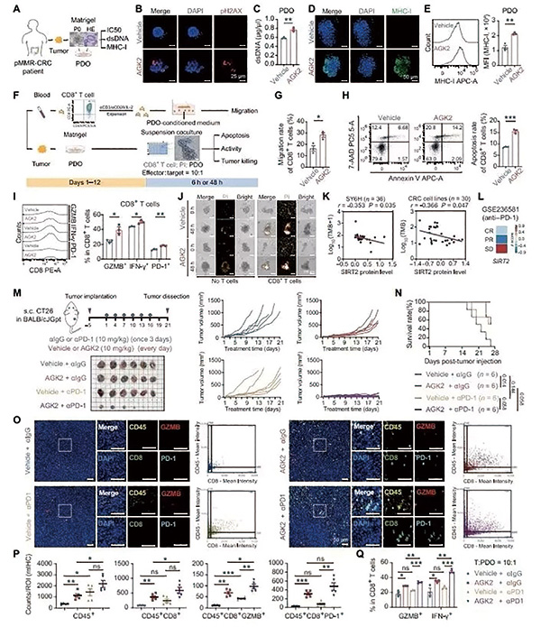 381-382期(完成)(1)-32.jpg 381-382期(完成)(1)-32.jpg