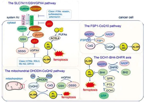 381-382期(完成)(1)-33.jpg 381-382期(完成)(1)-33.jpg