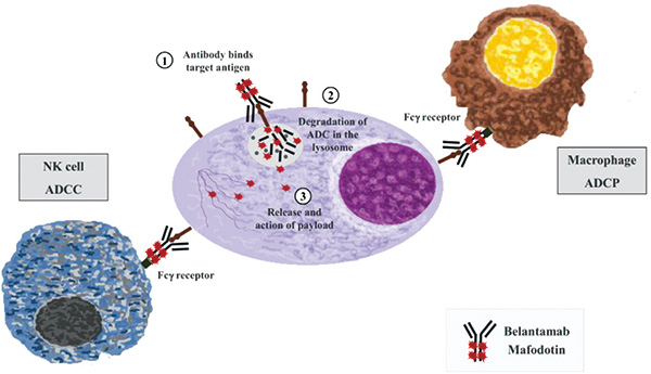 381-382期(完成)(1)-54.jpg 381-382期(完成)(1)-54.jpg