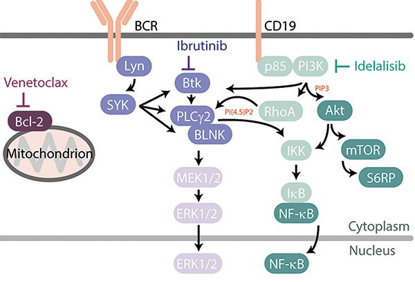 381-382期(完成)(1)-63.jpg 381-382期(完成)(1)-63.jpg