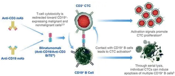 381-382期(完成)(1)-64.jpg 381-382期(完成)(1)-64.jpg