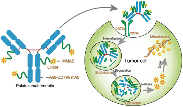 381-382期(完成)(1)-65.jpg 381-382期(完成)(1)-65.jpg