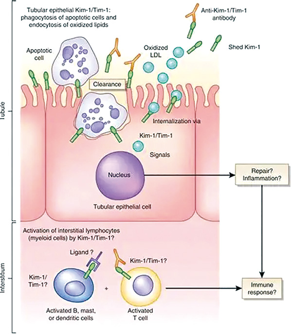 383-384期(完成)-55.jpg 383-384期(完成)-55.jpg
