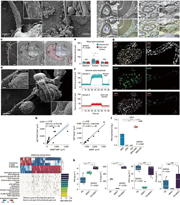 383-384期(完成)-69.jpg 383-384期(完成)-69.jpg