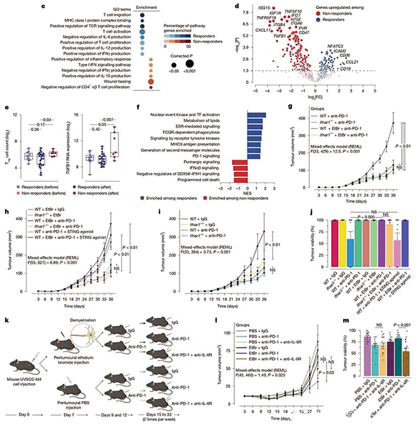 383-384期(完成)-70.jpg 383-384期(完成)-70.jpg