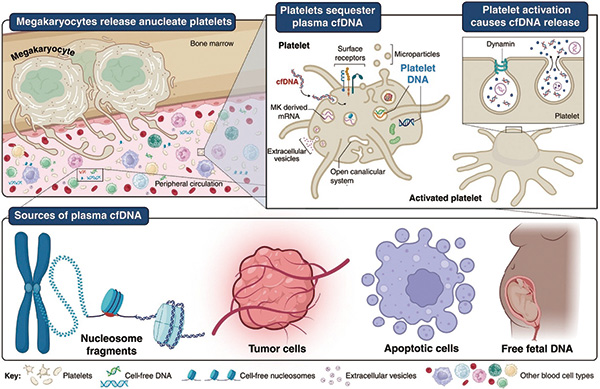 383-384期(完成)-71.jpg 383-384期(完成)-71.jpg