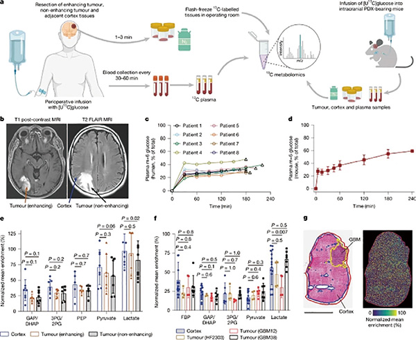383-384期(完成)-75.jpg 383-384期(完成)-75.jpg
