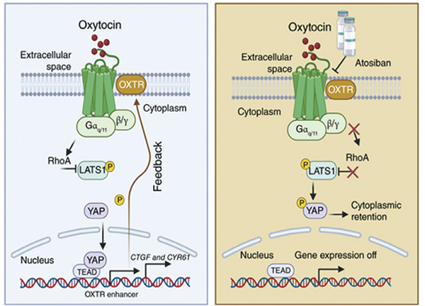 383-384期(完成)-77.jpg 383-384期(完成)-77.jpg