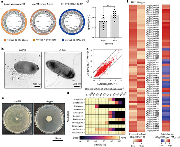 383-384期(完成)-78.jpg 383-384期(完成)-78.jpg