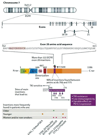385-386期(完成)-20-.jpg 385-386期(完成)-20-.jpg
