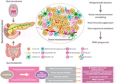 385-386期(完成)-37-.jpg 385-386期(完成)-37-.jpg