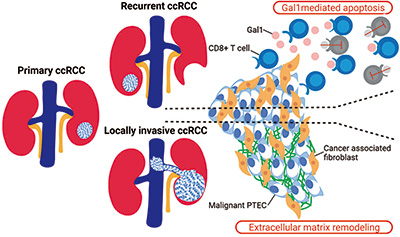 385-386期(完成)-52-.jpg 385-386期(完成)-52-.jpg