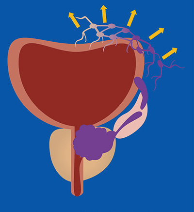 385-386期(完成)-62-.jpg 385-386期(完成)-62-.jpg