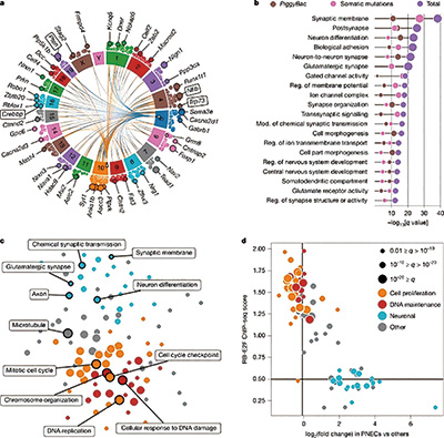 385-386期(完成)-79-.jpg 385-386期(完成)-79-.jpg