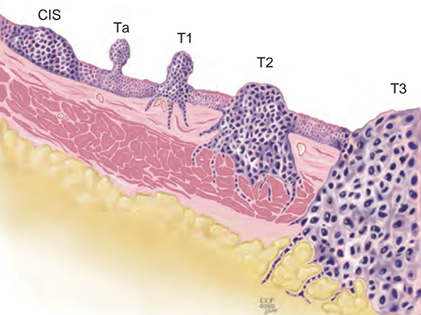 387-388期(完成)(3)-57-.jpg 387-388期(完成)(3)-57-.jpg