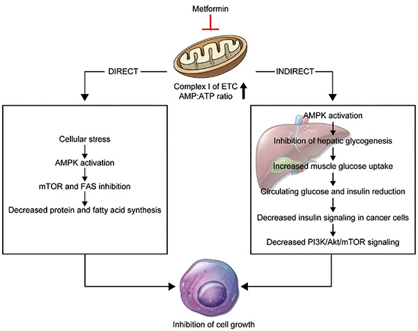 387-388期(完成)(3)-60-.jpg 387-388期(完成)(3)-60-.jpg
