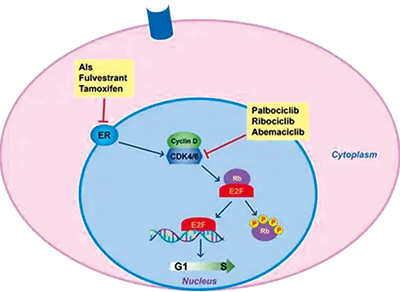 391-392期(完成)-53.jpg 391-392期(完成)-53.jpg