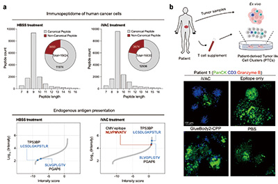 391-392期(完成)-72.jpg 391-392期(完成)-72.jpg