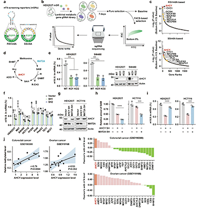 393-394期(完成)(2)-86-.jpg 393-394期(完成)(2)-86-.jpg