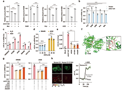 393-394期(完成)(2)-87-.jpg 393-394期(完成)(2)-87-.jpg