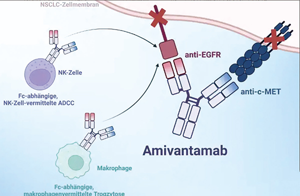 393-394期(完成)(2)-14.jpg 393-394期(完成)(2)-14.jpg