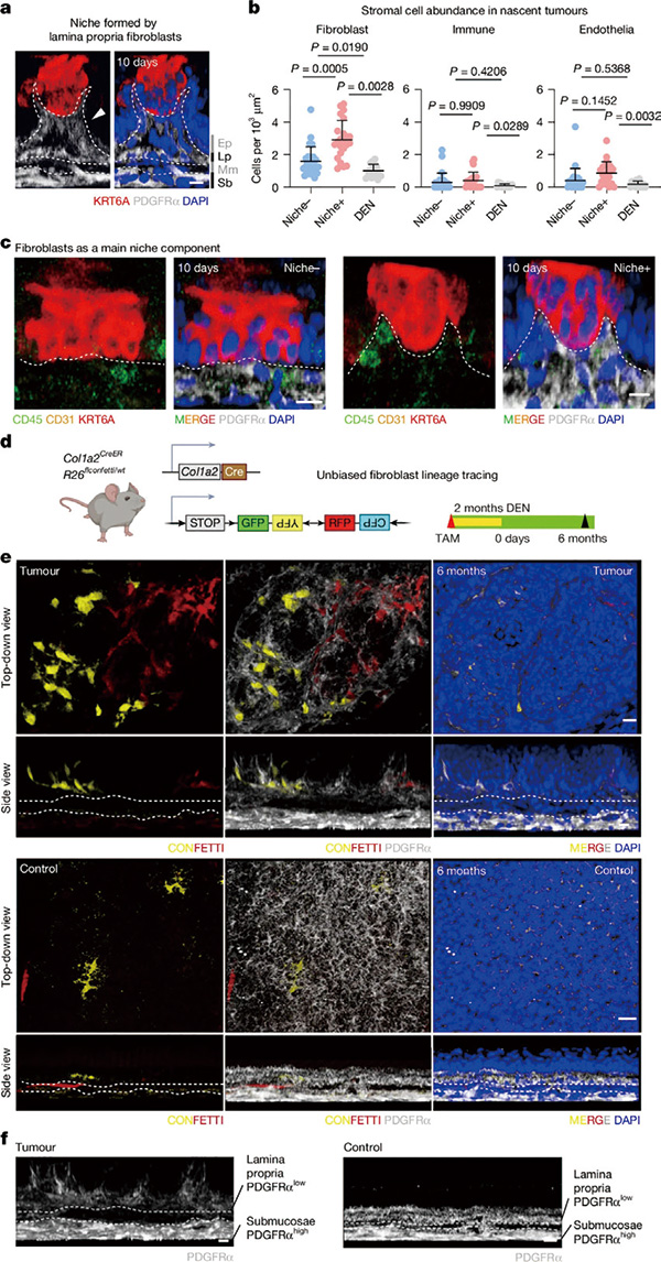 395-396期(完成)-87.jpg 395-396期(完成)-87.jpg