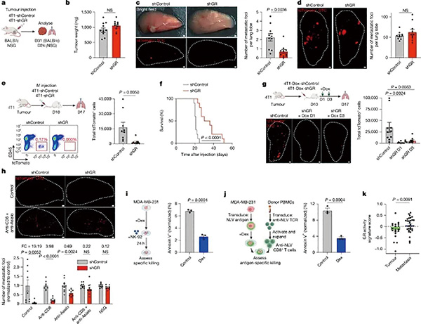 395-396期(完成)-89.jpg 395-396期(完成)-89.jpg