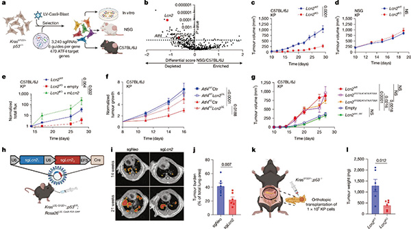 395-396期(完成)-95.jpg 395-396期(完成)-95.jpg