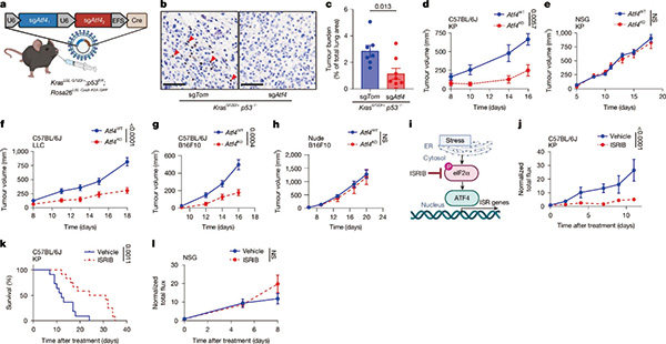 395-396期(完成)-94.jpg 395-396期(完成)-94.jpg