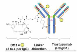 T-DM1治疗HER2突变肺癌研究