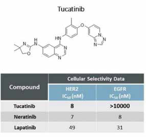 晚期HER2阳性转移性乳腺癌 Tucatinib联合T-DM1治疗Ⅰ期研究