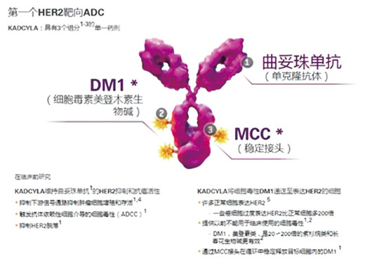 T-DM1单药术后辅助治疗研究达终点