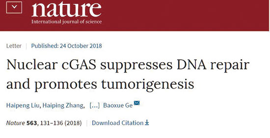 同济大学研究发现cGAS酶有致癌风险