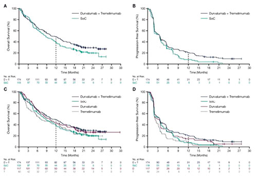 PD-L1 TC≥25%经治晚期NSCLC患者 Durvalumab三线以上治疗有生存获益