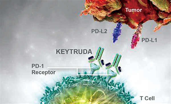 Keytruda“不限癌种”获FDA优先审评 