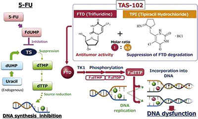 不宜强化治疗的初治mCRC Trifluridine/Tipiracil联合贝伐珠单抗安全有效