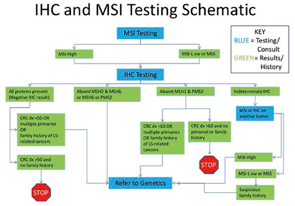 MSI/IHC和PREMM5可筛选Lynch综合征相关结直肠和 子宫内膜癌