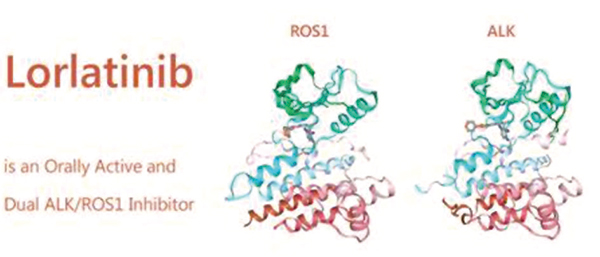一线治疗ALK阳性晚期NSCLC Lorlatinib或优于克唑替尼