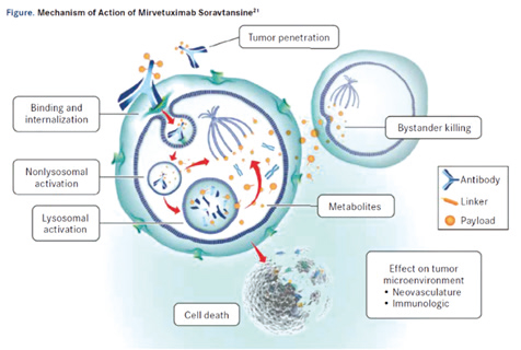 铂类耐药卵巢癌 Mirvetuximab soravtansine疗效值得期待